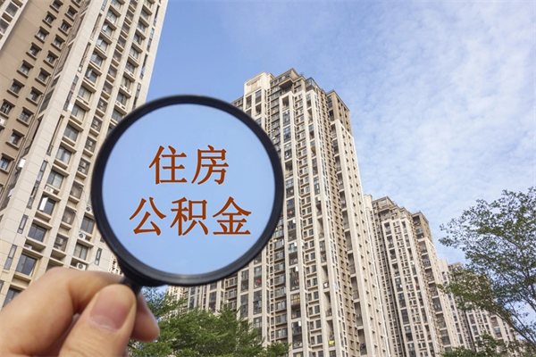 阿勒泰全国住房公积金缴纳人数（阿勒泰2020公积金人数）